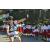 Team 51 / Raid l'Arbre Vert Amazones Bali - VTT