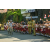 Team 71 / Raid l'Arbre Vert Amazones Bali - VTT