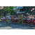 Team 71 / Raid l'Arbre Vert Amazones Bali - VTT