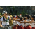 Team 62 / Raid l'Arbre Vert Amazones Bali - VTT