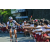 Team 20 / Raid l'Arbre Vert Amazones Bali - VTT