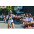 Team 37 / Raid l'Arbre Vert Amazones Bali - VTT