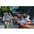 Team 32 / Raid l'Arbre Vert Amazones Bali - VTT