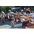 Team 41 / Raid l'Arbre Vert Amazones Bali - VTT
