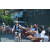 Team 40 / Raid l'Arbre Vert Amazones Bali - VTT
