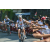 Team 40 / Raid l'Arbre Vert Amazones Bali - VTT
