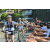 Team 22 / Raid l'Arbre Vert Amazones Bali - VTT