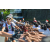 Team 13 / Raid l'Arbre Vert Amazones Bali - VTT