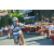 Team 58 / Raid l'Arbre Vert Amazones Bali - VTT