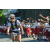 Team 58 / Raid l'Arbre Vert Amazones Bali - VTT