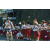 Team 14 / Raid l'Arbre Vert Amazones Bali - VTT