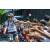 Team 16 / Raid l'Arbre Vert Amazones Bali - VTT