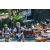 Team 26 / Raid l'Arbre Vert Amazones Bali - VTT