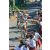Team 30 / Raid l'Arbre Vert Amazones Bali - VTT