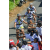 Team 30 / Raid l'Arbre Vert Amazones Bali - VTT