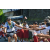 Team 56 / Raid l'Arbre Vert Amazones Bali - VTT