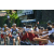 Team 24 / Raid l'Arbre Vert Amazones Bali - VTT