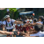 Team 24 / Raid l'Arbre Vert Amazones Bali - VTT