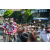 Team 43 / Raid l'Arbre Vert Amazones Bali - VTT