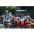 Team 53 / Raid l'Arbre Vert Amazones Bali - VTT