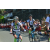 Team 36 / Raid l'Arbre Vert Amazones Bali - VTT