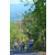 Team 23 / Raid l'Arbre Vert Amazones Bali - VTT