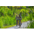 Team 60 / Raid l'Arbre Vert Amazones Bali - VTT
