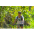 Team 60 / Raid l'Arbre Vert Amazones Bali - VTT
