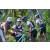 Team 01 / Raid l'Arbre Vert Amazones Bali - VTT