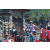 Team 23 / Raid l'Arbre Vert Amazones Bali - VTT