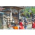Team 49 / Raid l'Arbre Vert Amazones Bali - VTT
