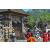 Team 49 / Raid l'Arbre Vert Amazones Bali - VTT