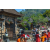 Team 49 / Raid l'Arbre Vert Amazones Bali - VTT