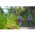 Team 11 / Raid l'Arbre Vert Amazones Bali - VTT