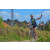 Team 53 / Raid l'Arbre Vert Amazones Bali - VTT