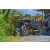 Team 36 / Raid l'Arbre Vert Amazones Bali - VTT