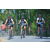 Team 60 / Raid l'Arbre Vert Amazones Bali - VTT