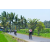 Team 30 / Raid l'Arbre Vert Amazones Bali - VTT