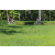 Team 01 / Raid l'Arbre Vert Amazones Bali - VTT