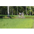 Team 15 / Raid l'Arbre Vert Amazones Bali - VTT