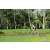 Team 01 / Raid l'Arbre Vert Amazones Bali - VTT