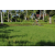 Team 29 / Raid l'Arbre Vert Amazones Bali - VTT