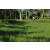Team 38 / Raid l'Arbre Vert Amazones Bali - VTT