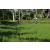 Team 38 / Raid l'Arbre Vert Amazones Bali - VTT