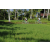 Team 38 / Raid l'Arbre Vert Amazones Bali - VTT