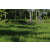 Team 45 / Raid l'Arbre Vert Amazones Bali - VTT