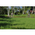 Team 08 / Raid l'Arbre Vert Amazones Bali - VTT