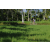 Team 08 / Raid l'Arbre Vert Amazones Bali - VTT