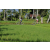 Team 54 / Raid l'Arbre Vert Amazones Bali - VTT