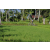 Team 54 / Raid l'Arbre Vert Amazones Bali - VTT